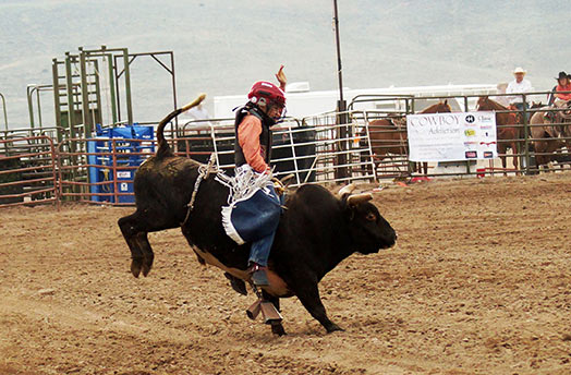 Jr. Bull Riding